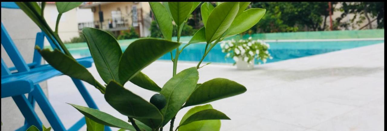 Eco-Friendly Estate I Apart otel Primošten Dış mekan fotoğraf
