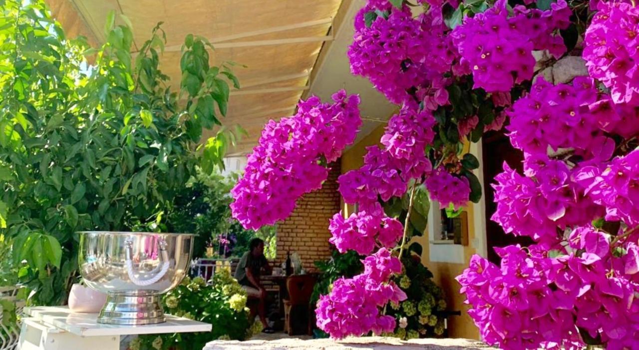 Eco-Friendly Estate I Apart otel Primošten Dış mekan fotoğraf