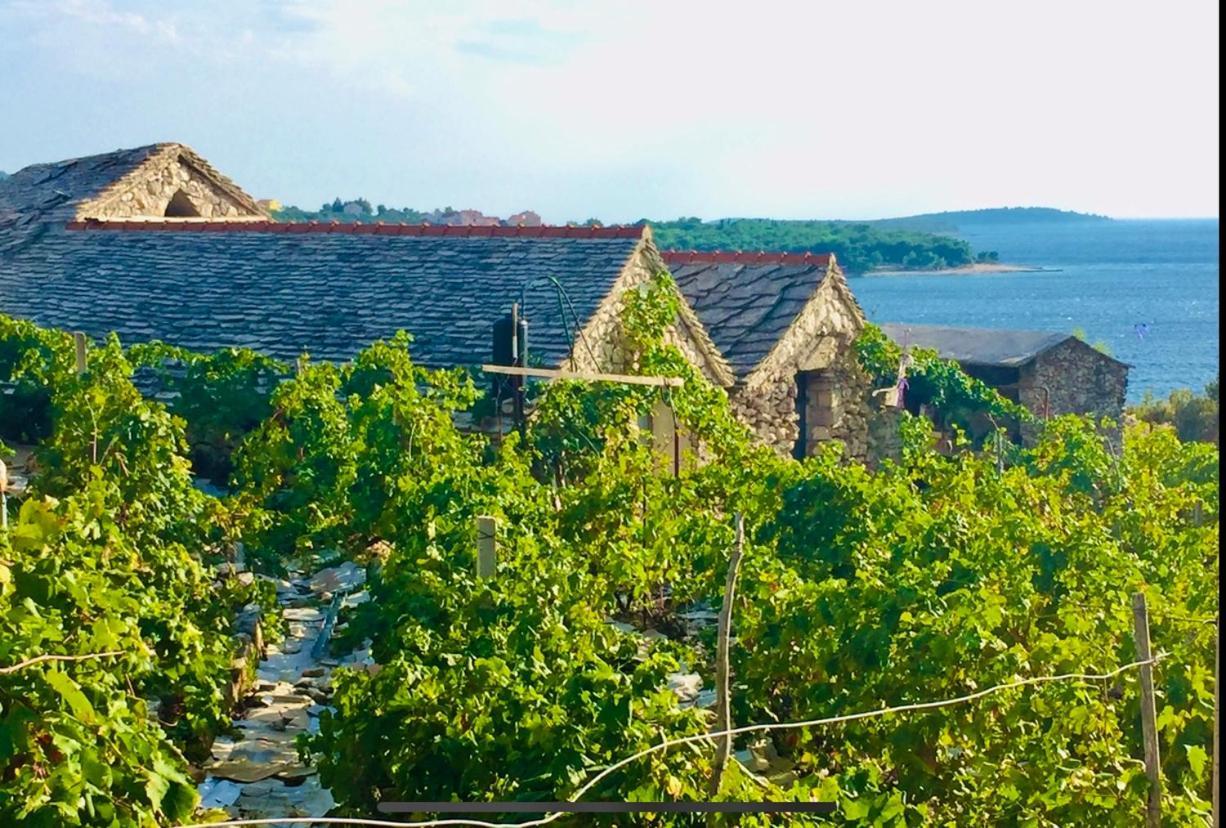 Eco-Friendly Estate I Apart otel Primošten Dış mekan fotoğraf