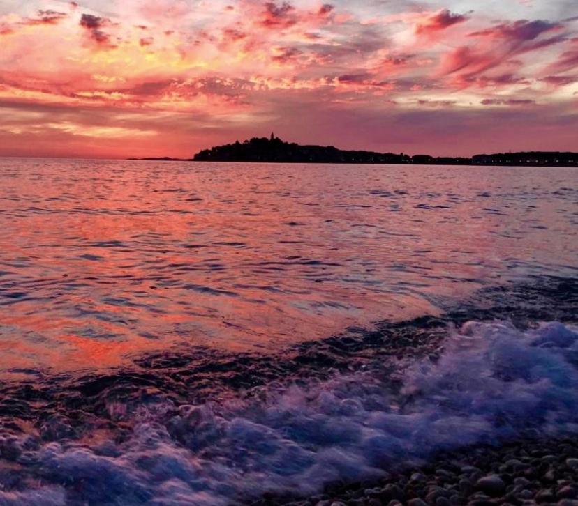 Eco-Friendly Estate I Apart otel Primošten Dış mekan fotoğraf