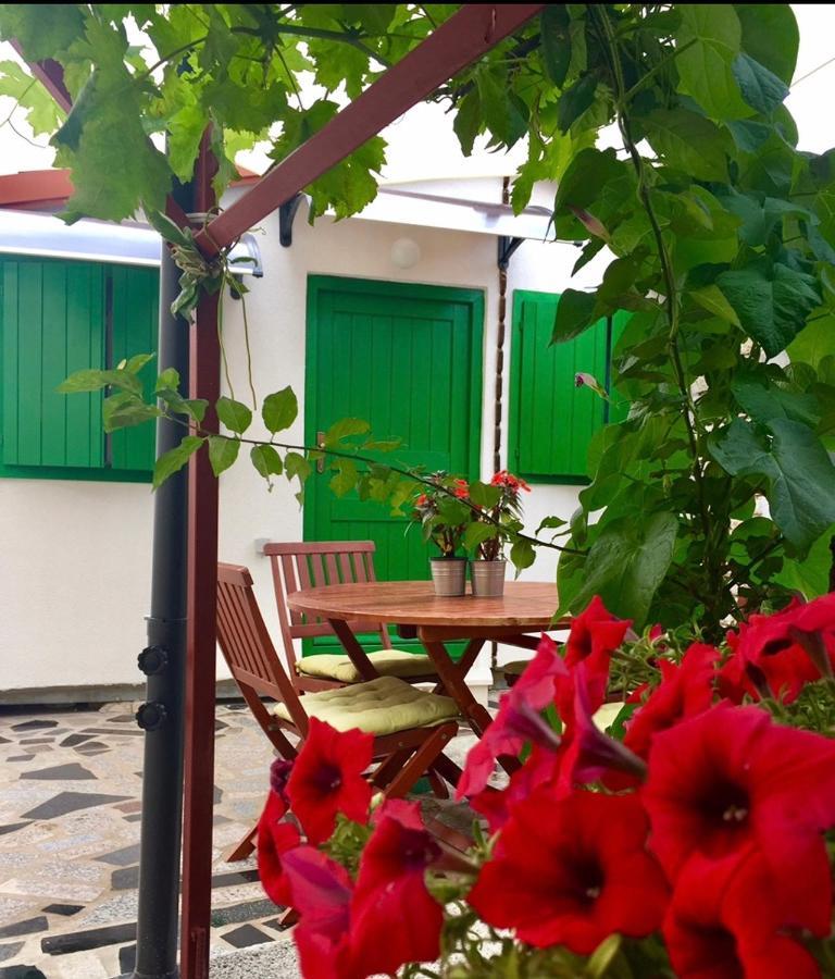 Eco-Friendly Estate I Apart otel Primošten Dış mekan fotoğraf