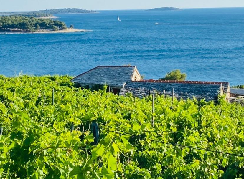 Eco-Friendly Estate I Apart otel Primošten Dış mekan fotoğraf